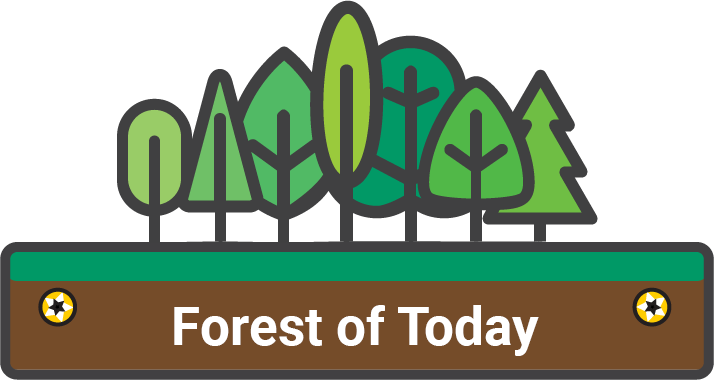 Seven different stylized green trees stand on a horizontal rectangle. The rectangle is green along the top and brown along the bottom, evoking grass upon earth. In the brown layer, there is a golden screw head on either side of the white text "Forest of Today"